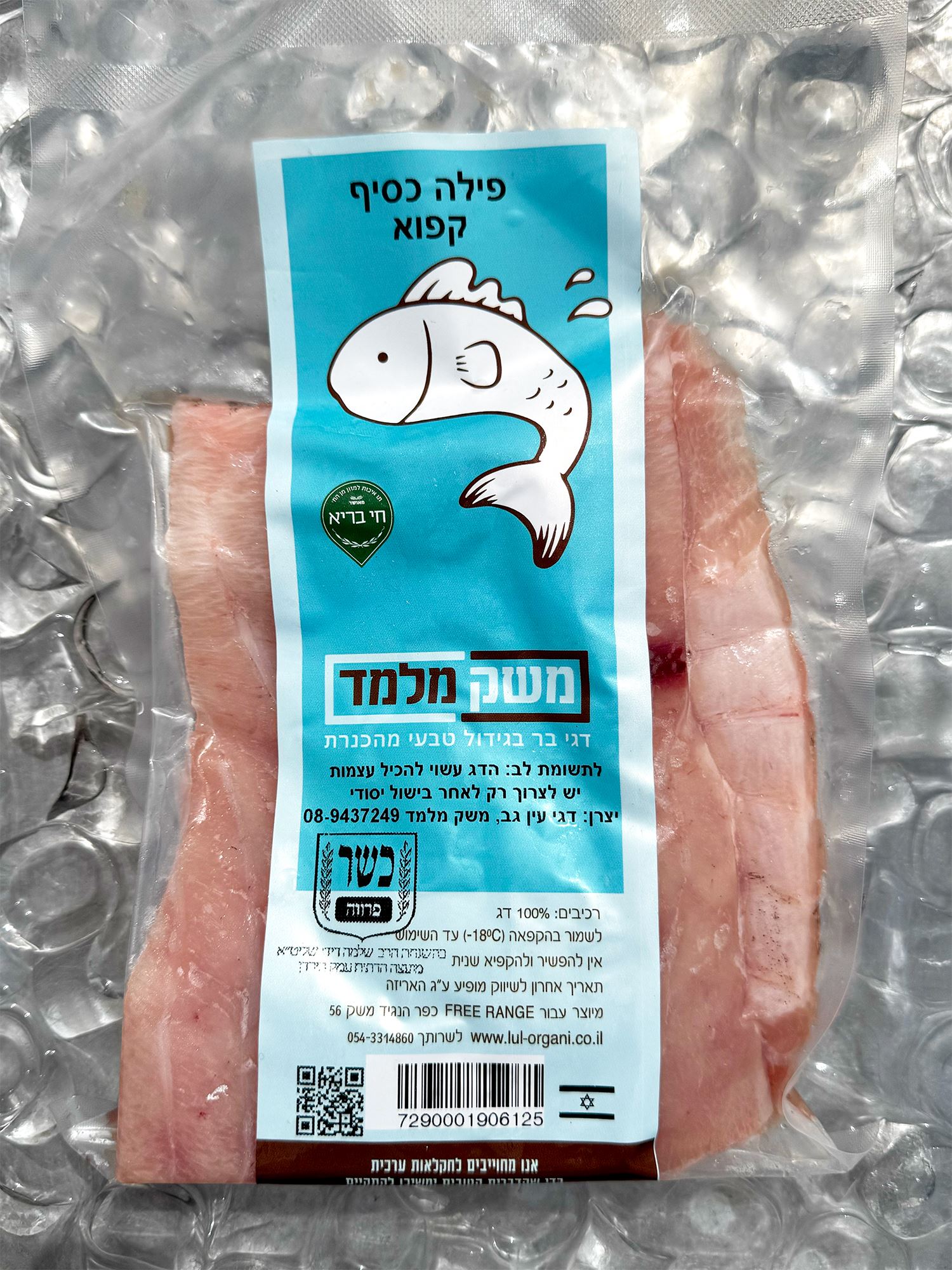 פילה כסיף כנרת קפוא