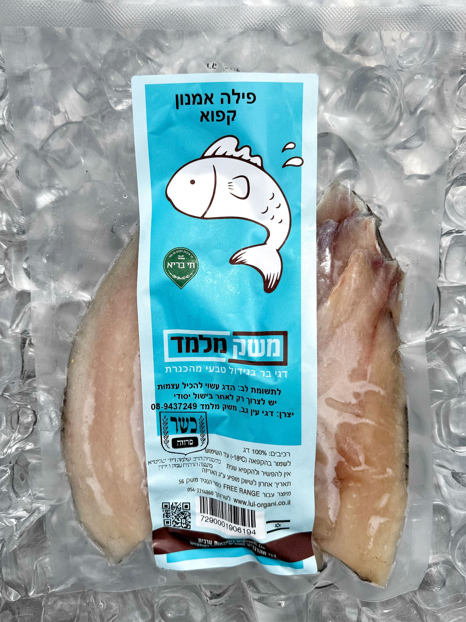 פילה דג אמנון