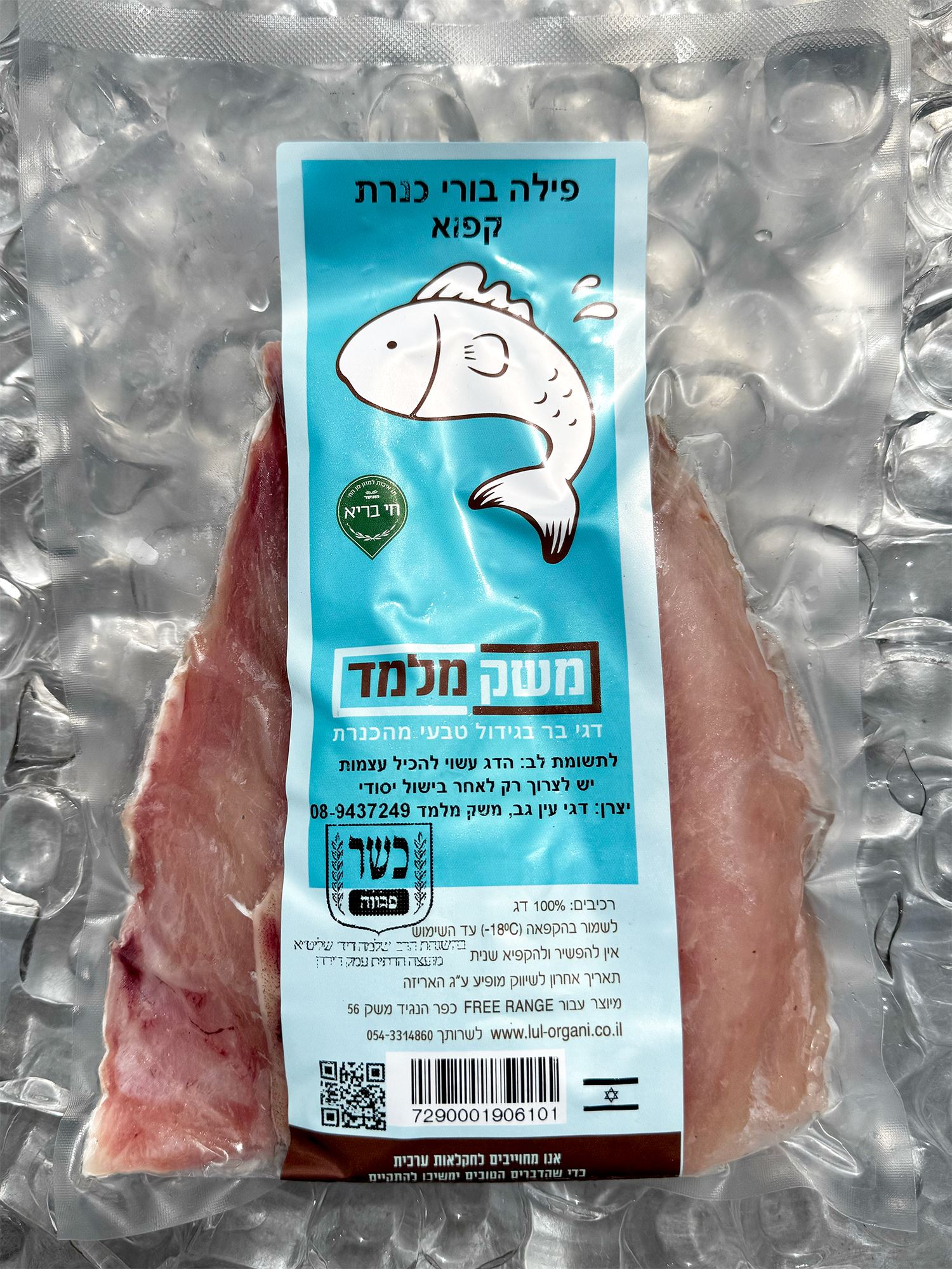 פילה בורי כנרת קפוא