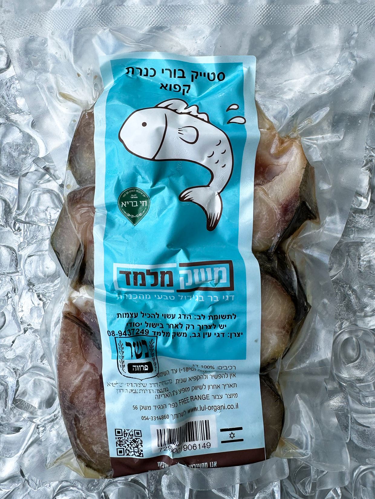 לחיצה להגדלת תמונה 