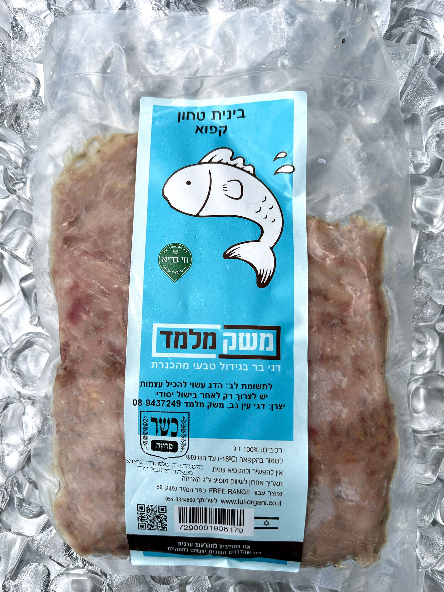 דג בינית טחון
