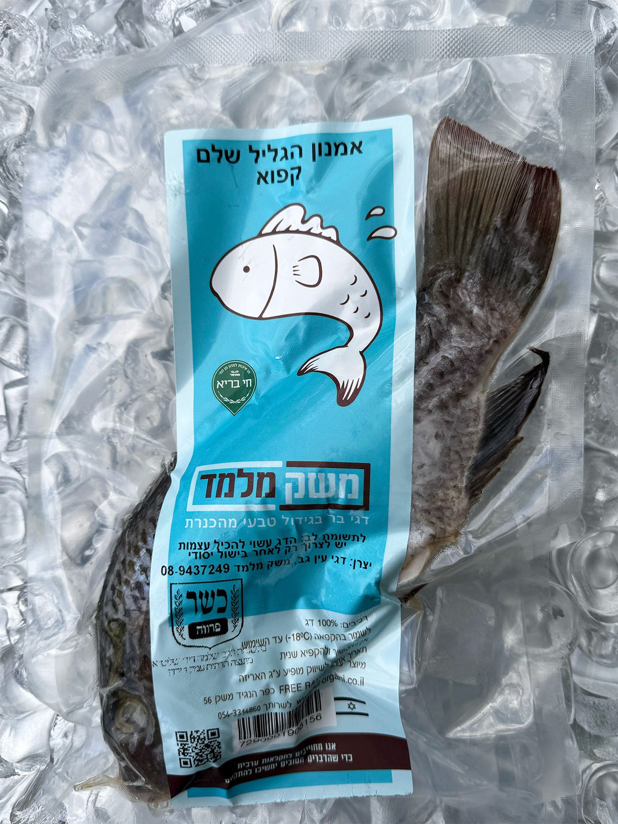 לחיצה להגדלת תמונה 