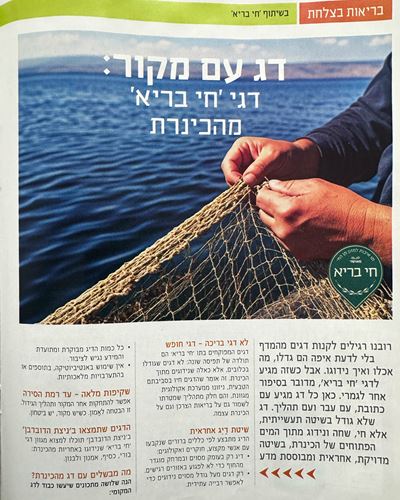 דג עם מקור: דגי משק מלמד מהכנרת